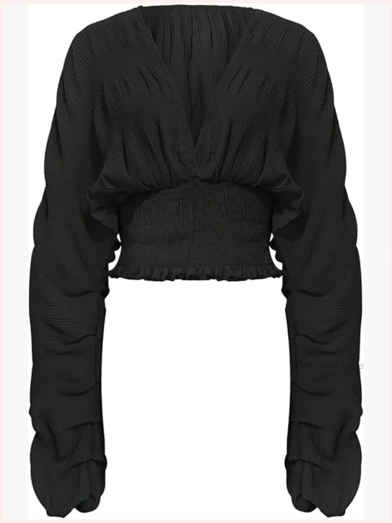 Deep V Neck Lantern Sleeve Crop Blouse Ruffle Top